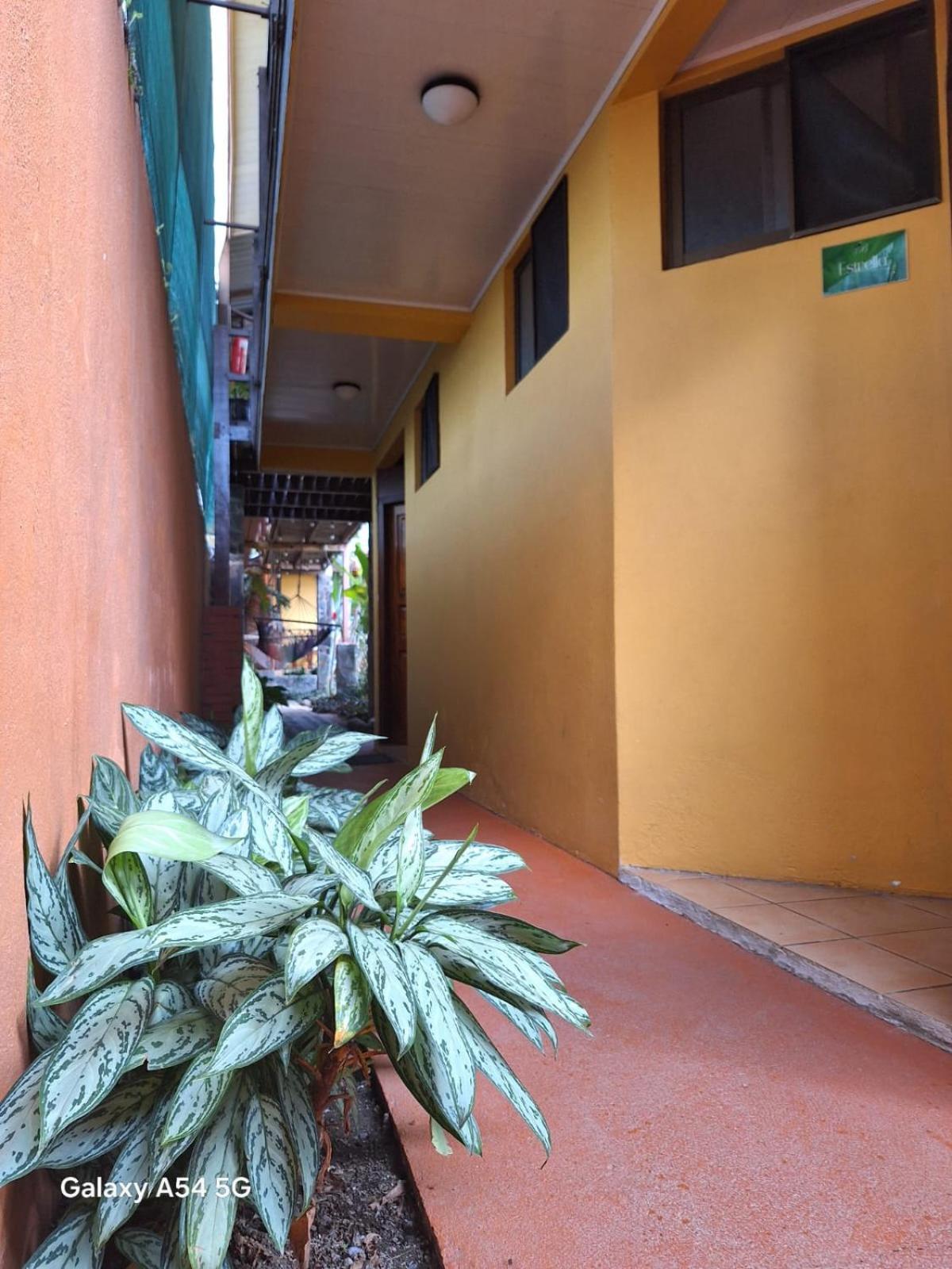 Iris Arenal Hotel La Fortuna Exterior photo