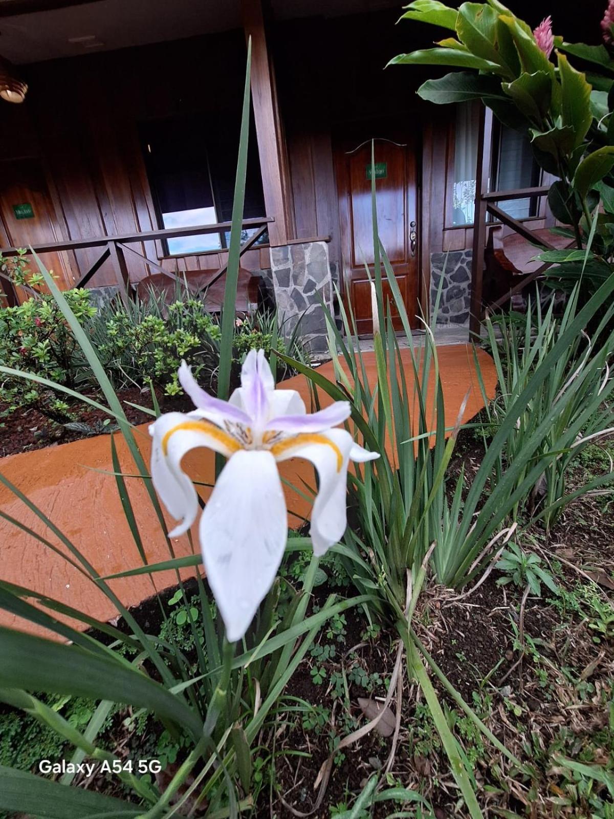 Iris Arenal Hotel La Fortuna Exterior photo